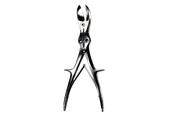 Cutter Bone Double Action Liston Curved 11inch Long